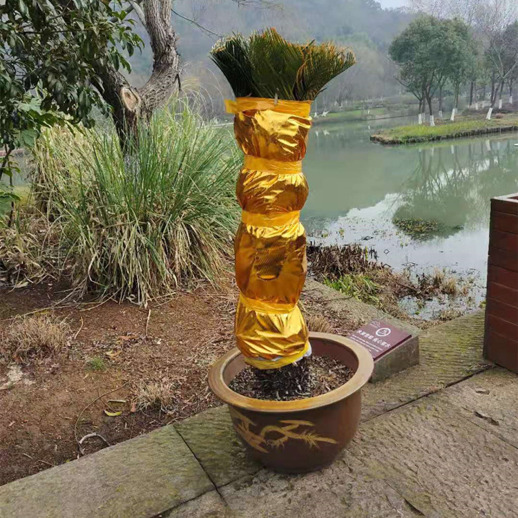 O1CN01FyiEAa2KXjp6niY9E_!!9342