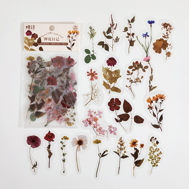 Наклейки (Tangsi) Plant Nature Series PET, набор Retro DIY для декора — 8 дизайнов