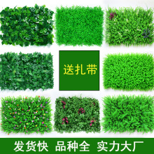 羳ֲ҃T^bGֲƺƤϼٲƺ