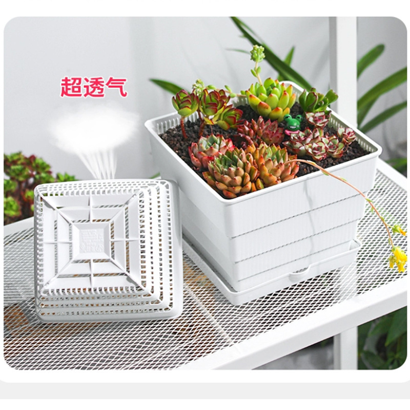美撒大口径プラスチックコントロール根多肉植木鉢肉盆栽盛り合わせ専用大サイズ通気植木鉢トレー付き|undefined