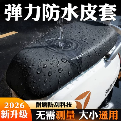 and Tailg – Electric car cushion