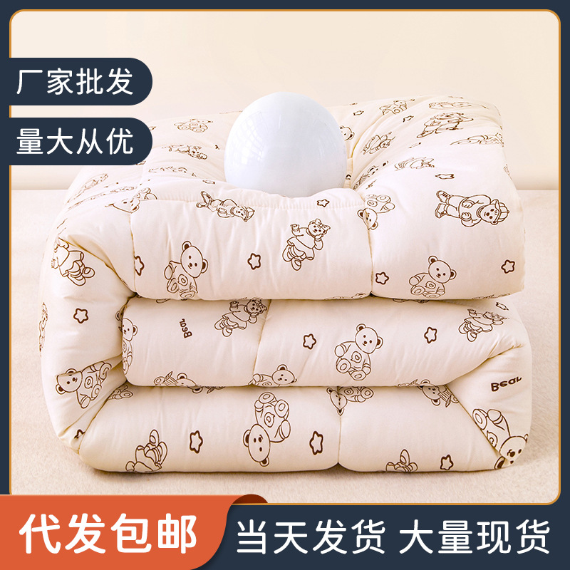 加厚保暖棉被太空被冬被芯单人学生宿舍丝绵被冬季被子四季通用