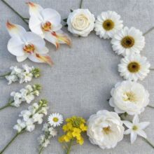 ��ɫϵ���滨��Y��·���bٻ��Ƶ겼���쾰���滨��ɫϵ�мٻ�