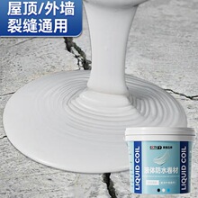 屋顶防水补漏涂料卷材楼顶房顶堵漏王平房裂缝漏水液体材料防漏胶