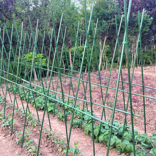 豆角架黄瓜架四季豆爬藤支撑架菜园菜架子种菜种植蔬菜架杆搭支架-阿里巴巴