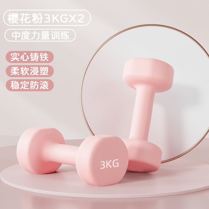 ダンベルの女性のフィットネスの家庭用の器材の子供の男性の純鉄のスーツの組み合わせのダンベルの小学校の腕の筋肉のフィットネス器|undefined