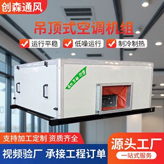 新风系统吊顶式空调机组冷暖两用新风机组车间办公室新风机组