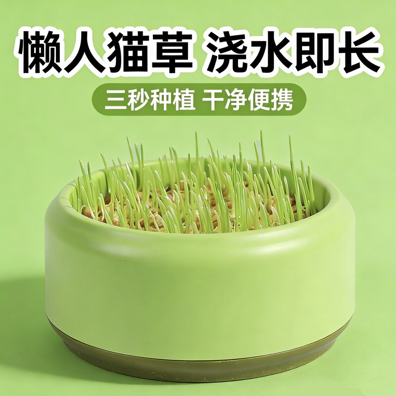 Cat grass potted seeds soilless hydroponic hairy grass catnip wheat self-grown good seedling kitten snack supplies