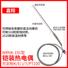 K型铠装热电偶WRNK-191探针温度传感器PT100/E/J热电阻探头高精度