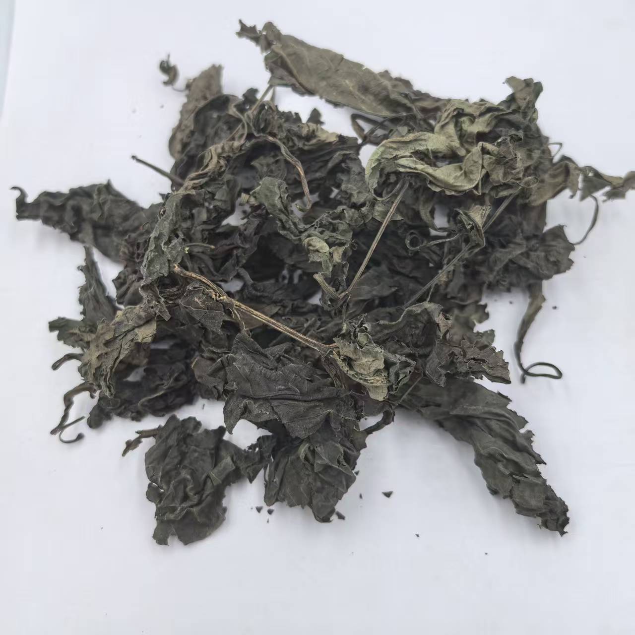 大青叶 板蓝根叶 中药材批发供应 1000g克