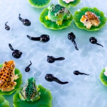 ΢���^����ɐ۷���С����֬���ܔ[���ֹ�DIY�b�������[�O