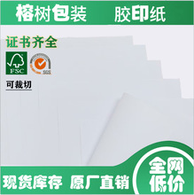 �������S�p�z��ȫľ�{�z�漈ӡˢ����Ⱦ�^�C�����p��ʩ�z