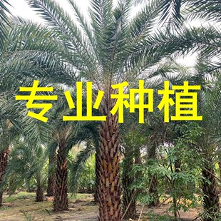 ���جF؛�y�����Ж|���� �ִ̿������� �������̳��G�G����ľ