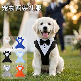 跨境西装礼服宠物胸背牵引套装背心式中小大型犬婚礼派对狗狗礼服