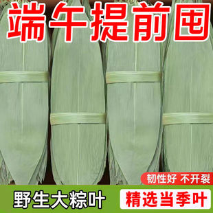 ���l���繝�����~���~��̖�����~�����ӌ������~�Ӹ����~�������~