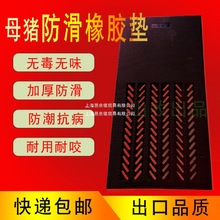 Ӻĸiazĸ|iȦȫiz|䁵ıÉ|