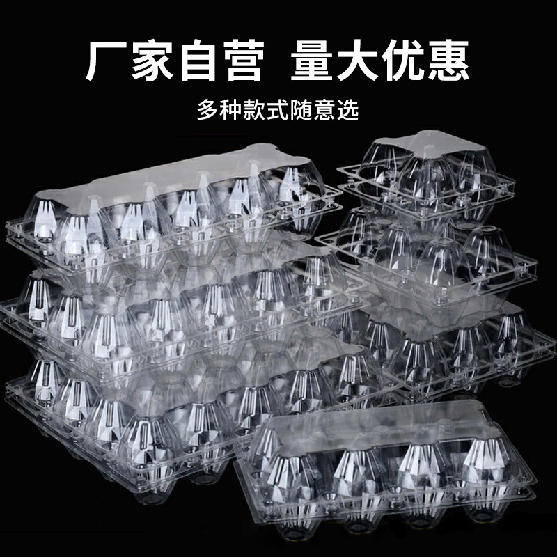 塑料透明防震鸡蛋托中号多种规格一次性土鸡蛋包装盒厂家直销