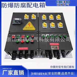 Explosion-proof power distribution box Explosion-proof lighting power distribution box Explosion-proof control box Explosion-proof anti-corrosion distribution box