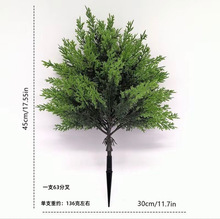 亚马逊仿真树刺柏地插柏叶装饰户外花园庭院盆栽插花造景仿真绿植