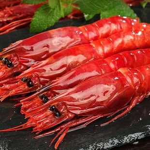 �tħ�r���r���������͜�������r�tħ�r���r���r�ك��tħ�r