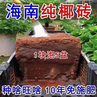 Ҭ�ӠI�B���ЙC���}Ҭ�u�B�����sҬ�u���N��ͨ���Ϳ羳���u���l