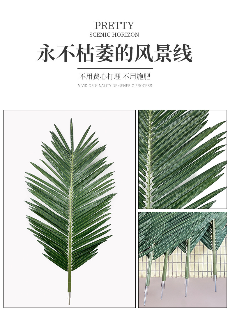 详情 (3).jpg