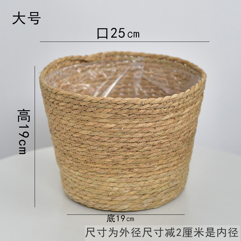 蒲草口25款