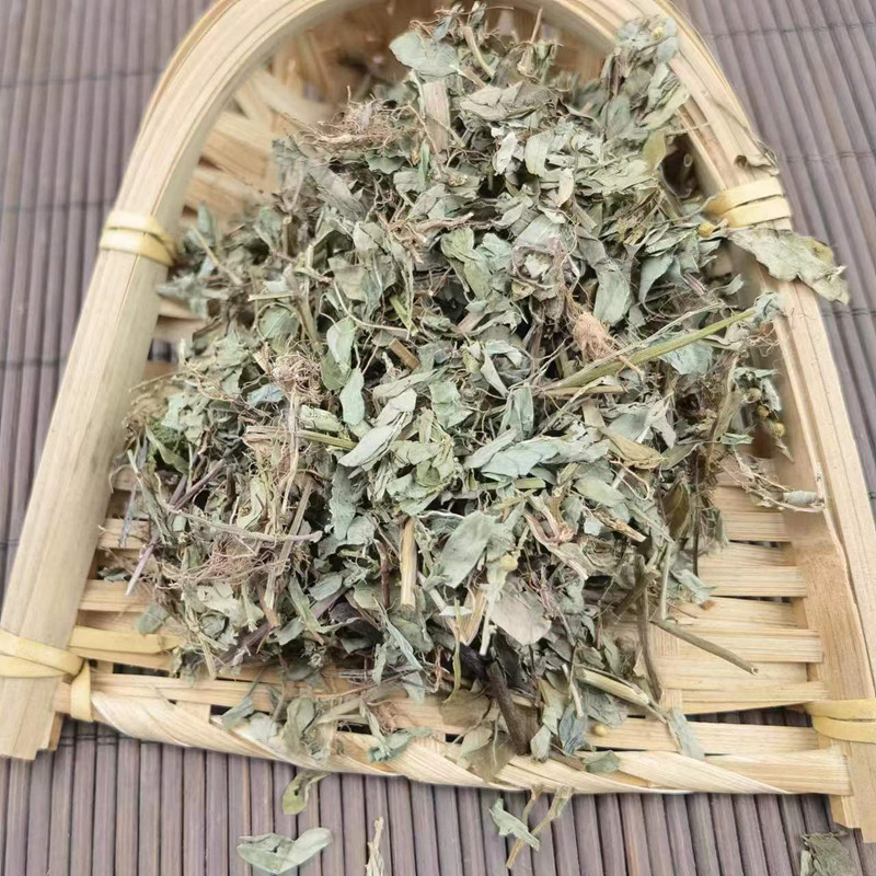 Dried Phyllanthus Urinaria Herb Ye Xia Zhu 500g Whole Plant Traditional Herbal Tea Ingredient specifications