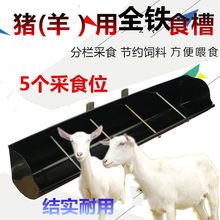 全铁长条仔猪补料槽羊猪食槽 羊加料槽牛食槽料槽 小猪用食槽