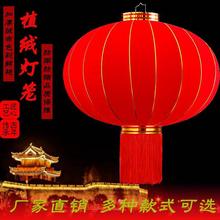 ֲ�q���\���l�����^���b�ϲ�c����ֲ�q��ˮ2025�����t���T���\