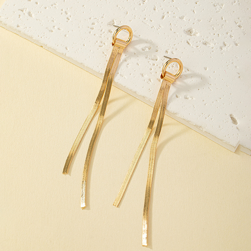New S Silver Needle Long Chain Tassel Earrings, Elegant Internet Celebrity, Personalized Earrings_voghion.com