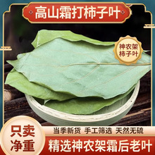 柿子叶500克中药材正品霜后茶血降粉压秋后新鲜纯正干货泡水喝