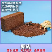 爬虫椰砖爬宠箱造景装饰天然椰壳垫材陆龟蜥蜴守宫蛇保湿透气垫料