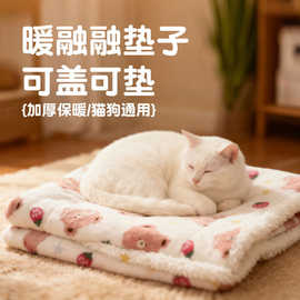 宠物毛毯猫毯子保暖猫窝秋冬款狗窝毯子猫窝睡垫猫垫猫咪垫子跨境