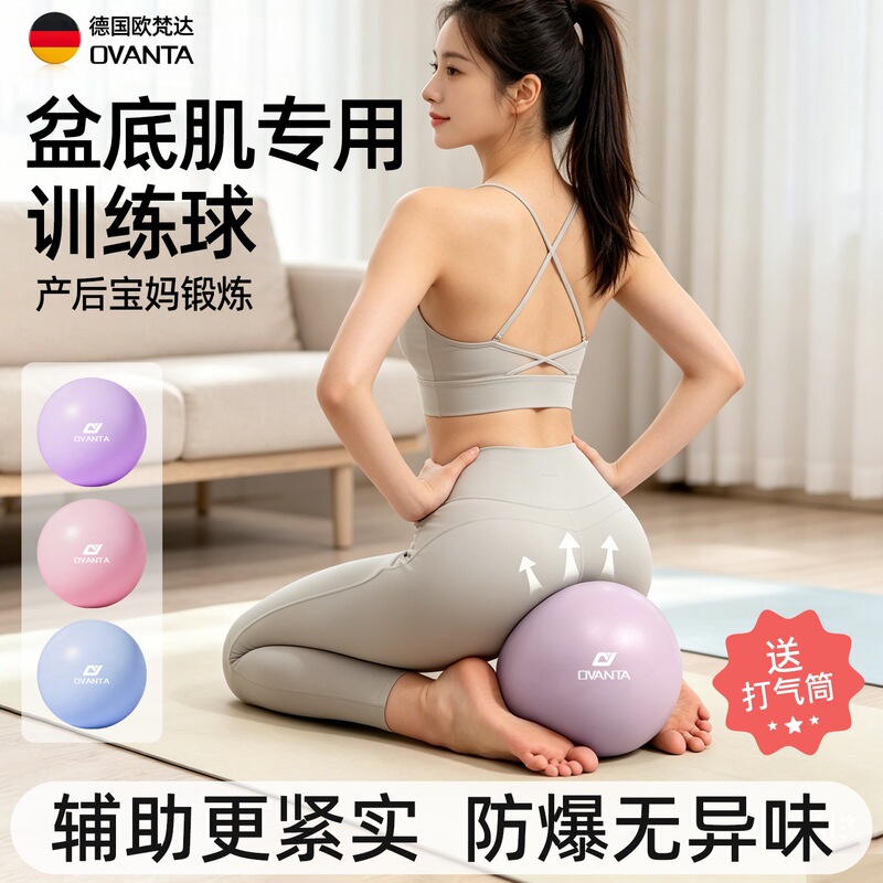 Yoga Ball for Adults, Pilates Small Ball for Fitness, Pregnant Women, Yu Jia Pelvic Floor Muscle Women, 25cm Mini Yoga Equipment Yoga Ball for Adults, Pilates Small Ball for Fitness, Pregnant Women, Yu Jia Pelvic Floor Muscle Women, 25cm Mini Yoga Equipment