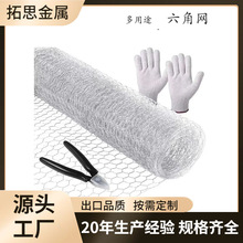 ���ݾW�r��������\���ǽz�W���ǾW�B�\Gal���ǾW chicken���ǾW