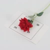 Red (Flannel Little Horn Rose)