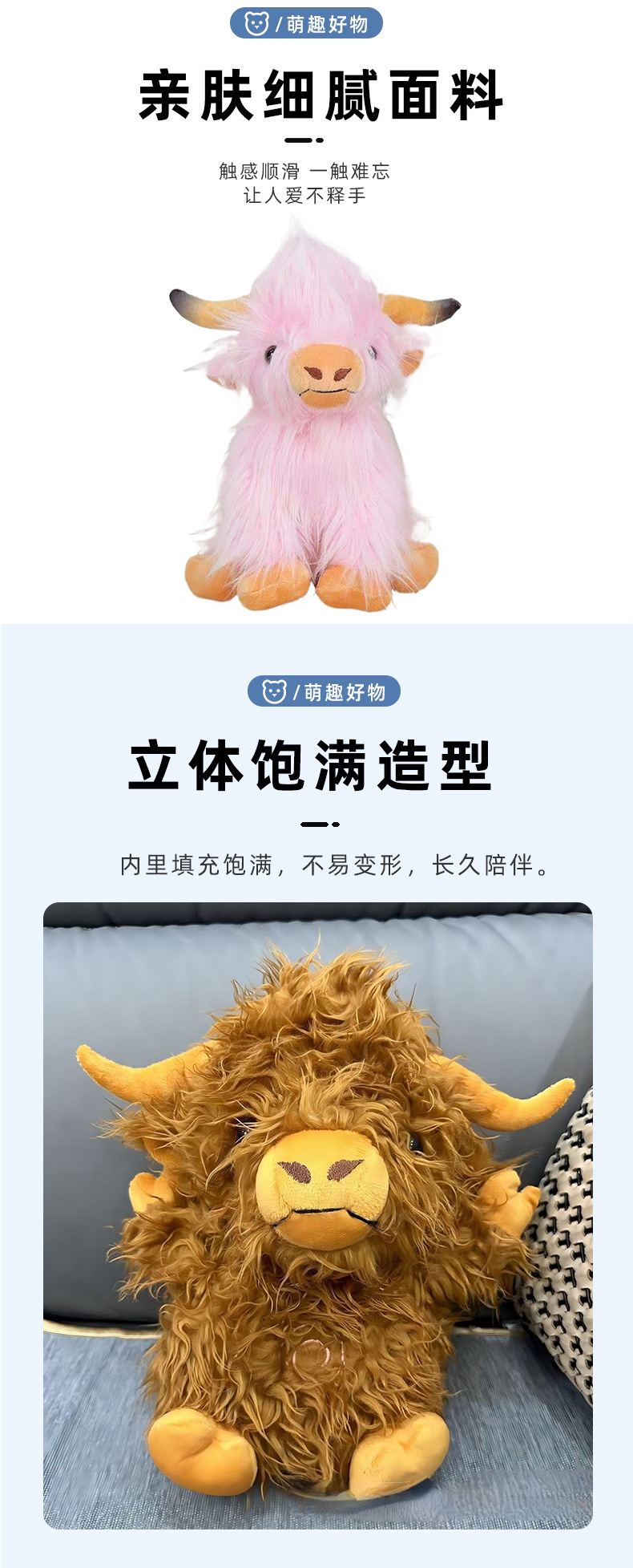 苏格兰高地牛_07