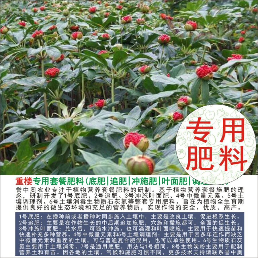 50�����а���¥��Ҷһ֦��ר���л��ʸ��Ϸʵ׷�׷�ʳ�ʩҶ���