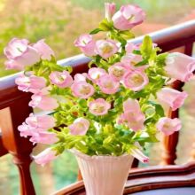 �L⏻��N���ļ����N�׻�����ͥԺ�̨�����_�������^�p���ܷN��