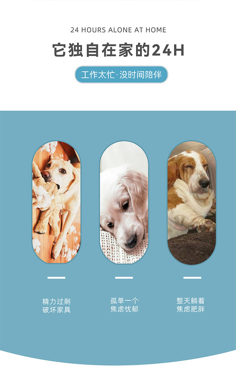 详情_02.jpg?x-oss-process=image/format,png
