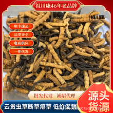 ���x�Ĳ݃����x�������ຣ�����F���Ĵ�����x�݁�������β��x��