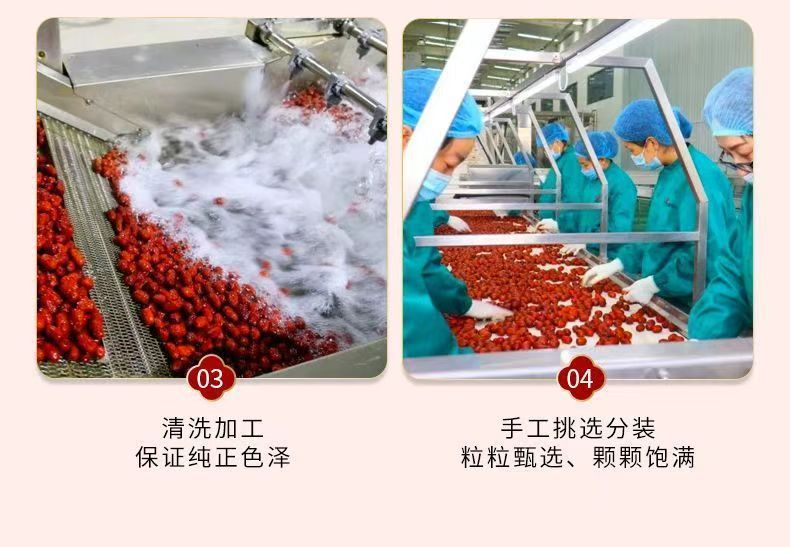 微信图片_20250923000501_73_5