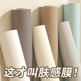 墙贴;家用地毯;玻璃贴