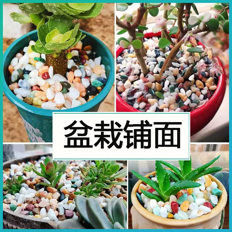 Красочные украшения, оптовые закупки