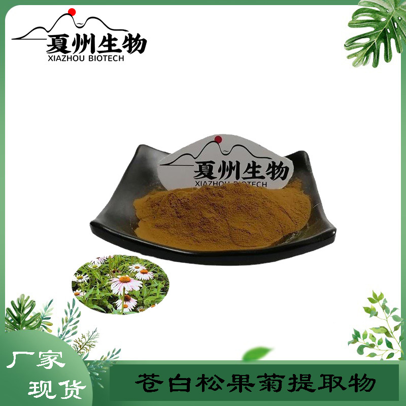 苍白松果菊提取物 10/20/30:1规格 夏州生物 量大从优 kg装
