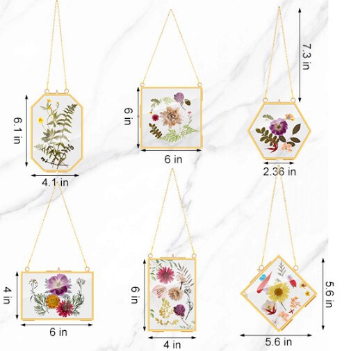 Six-piece set of gold hanging brass glass hanging wall decoration plant specimen photo display transparent storage frame