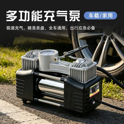 Manufacturers supply car air pump 220V GB plug double cylinder air pump tire metal air pump (Hava nasosu)