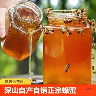 ��Ȼ��ɽ�r�����A�����۷���Ұ�������Ԯa���N�ٻ�ԭ��500g