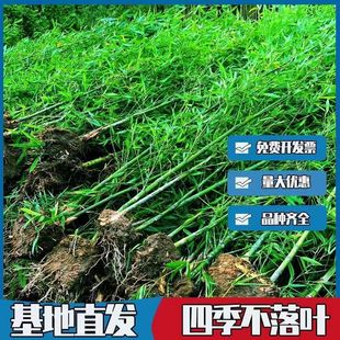 �������硿�ϱ����ͺ��������������_�h�������ļ�����G�����